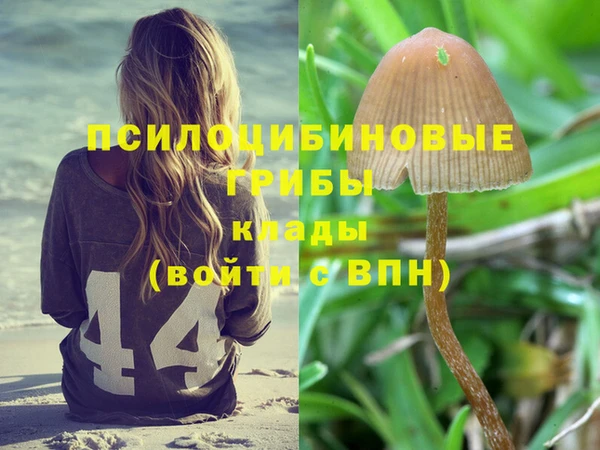 скорость Алексин