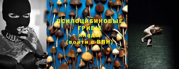 соль ск Алзамай